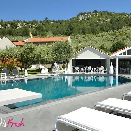 Louloudis Fresh-Adults Only-2
